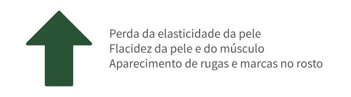 seta